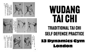 Wudang Tai Chi: San Shou (self defence training) session