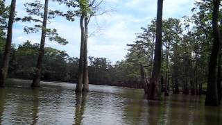 Hurricane Lake Run