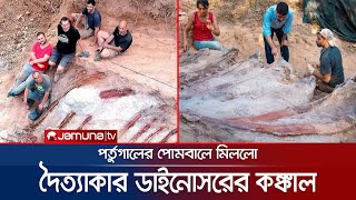 পর্তুগালে সাড়ে ১৪ কোটি বছর পুরানো ডাইনোসরের কঙ্কালের সন্ধান! | Portugal Fossil