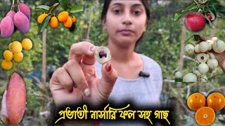 প্রভাতী নার্সারি ফল সহ ঝোপালো গাছ || Prabhati Nursery Fruit with Big Plant  || VORER ALO