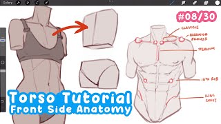 how to draw TORSOS in front view like a Pro! | Full Drawing Tutorial - Art Bootcamp #08/30