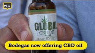 N12 Bite: CBD oil now in bodegas, volunteers spread info on ICE raids and more