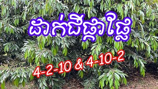 ដាក់ផ្កាផ្លែជី 4-2-10 & 4-10-2