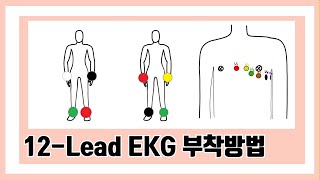 12 lead EKG 부착하는 방법? #간호 #간호조무사 #간호학과 #간호학생 #간호사취업 #간호대생 #신규간호사 #ekg