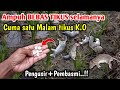 MENGERIKAN Cara cepat membasmi Hama tikus Cara membasmi Hama tikus di sawah