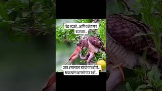 वेळ बदलते आणि कर्तव्य पण बदलतात👍🤔 #viral #shorts