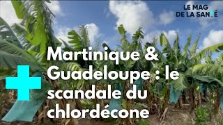 Antilles : une application pour traquer le chlordécone - Le Magazine de la Santé