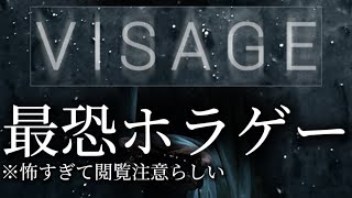 VISAGEをやる