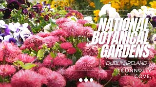 National Botanic Gardens | Dublin | Ireland | Botanic Gardens | Things to do in Dublin | Glasnevin