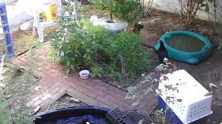 M_2011-09-20_12-54-29.mov