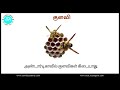 poochigal பூச்சிகள் insects