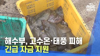 해수부, 고수온.태풍 피해 긴급 자금 지원