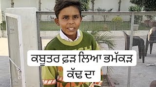 ਭਮੱਕੜ ਕੱਢ ਕਹਿੰਦਾ ਕਬੂਤਰ ਫੜਿਆ ਮੋਦੀ ਨੇ ਮੇਰਾ