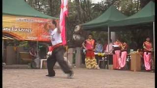 元朗十八鄉馬田村尚武堂總教練陳嘉駒師傅(洪家三展拳)