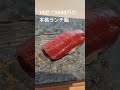 【鮨処とうげ】札幌円山にある本格高級鮨18品を5500円で堪能できる店、カウンター鮨を体験したい若者よ集え hokkaido 札幌 北海道 札幌デート 鮨 寿司 ランチ sushi