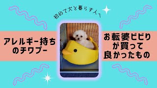 【初めて犬を飼う方へ】買って便利だったもの・お散歩マナー／アレルギー持ちのワンちゃんのおやつ