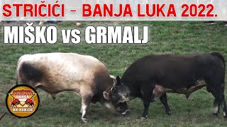 MISKO (vl. Duman) - GRMALJ (vl. Radomir Skrbic) - STRIČIĆI - BANJA LUKA - 27.08.2022.