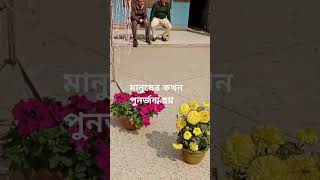 মানুষের কখন পুনর্জন্ম হয়//জেনে নিন কখন মানুষ আর জন্মাতে পারে না// yt shorts