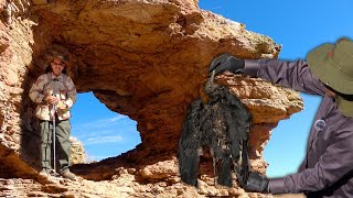 La TUMBA DEL ZOPILOTE en el CERRO DE LA CALAVERA