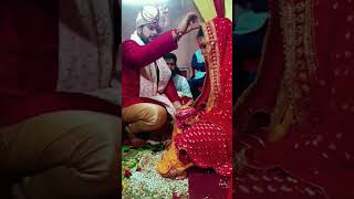 Sindoor dan #sindoordan #shorts #youtubeshorts #yt #sisterswedding