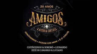 Amigos - Sinônimos / Pensa Em Mim / É o Amor