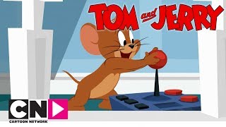 Tom & Jerry Show I Jerry İş Peşinde I Cartoon Network Türkiye