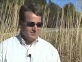 giant miscanthus fuel crop growing in georgia