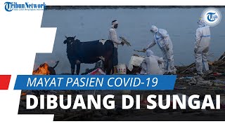 Kian Mengerikan, Puluhan Mayat Pasien Covid-19 di India Dibiarkan Menumpuk di Sungai Gangga