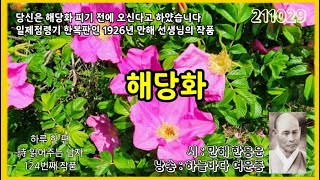 [영상시] 해당화 _ 만해 한용운 / 낭송 _ 하늘바다 여운종 / 하루 한 편 시 읽어주는 남자 124번째 작품