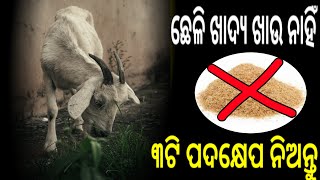 ଛେଳି ଖାଦ୍ୟ ଖାଉ ନାହିଁ||୩ ପଦକ୍ଷେପ ନିଅନ୍ତୁ||Goat Farming Tips Odia||Odisha Farmer