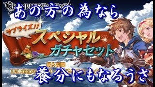 【グラブル】【サプチケ】【グランデフェス】サプライズチケット付属10連で欲しいの当てれば大勝利じゃあないか！【グランブルーファンタジー】