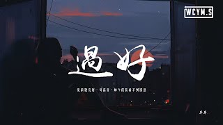 羊羊 - 過好「從前聽完每一句語音，如今假裝看不到消息」【動態歌詞/pīn yīn gē cí】