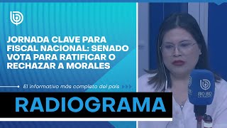 Jornada clave para fiscal nacional: Senado vota para ratificar o rechazar a Morales