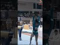 18 平均台 体操女子 jpn tf bb dk gymnast 体操競技 sport s athlete