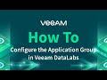 How to Configure the Application Group in Veeam DataLabs