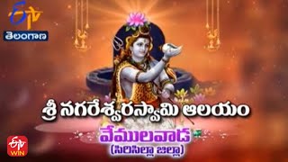 Sri Nagareswara Swamy Temple |  Sircilla District | Teerthayatra | 6th December 2021 | ETV TS