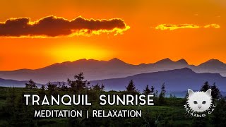 Tranquil Sunrise | Relaxation Meditation