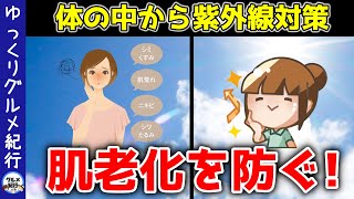 【ゆっくり解説】体の中から紫外線ケア！肌老化を防ぐ成分！効くオススメ食品