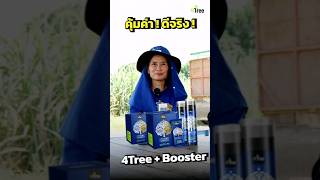 #4Tree #Booster #มันสำปะหลัง #โตไวแข็งแรง #ใบเขียวสด #ใช้ดีบอกต่อ