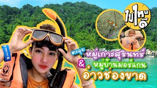 ไปไหนดี Ep.11 หมู่เกาะสุรินทร์ ดำน้ำดูปลา พังงา อุทยานแห่งชาติ อ่าวช่องขาด ปะการังสวยที่สุดในสามโลก