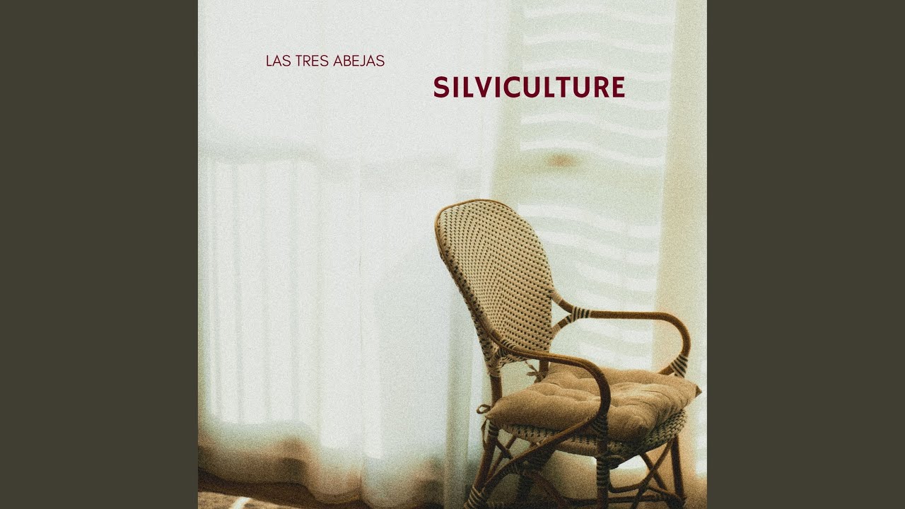 Silviculture Youtube