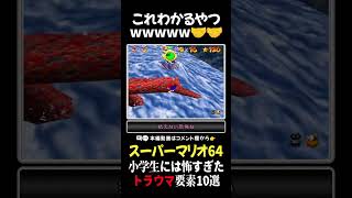 【スーパーマリオ64】小学生には怖すぎたトラウマ要素10選_その6