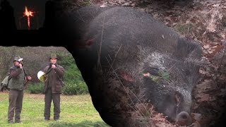 Spoločná poľovačka na diviaky Čaradice | common hunting for wild boar