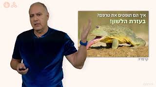 דו חיים - תזונתם של הדו-חיים