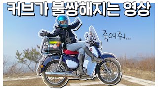 슈퍼커브 C125가 불쌍해지는 영상... 중고로 팔 생각 없다는 거죠! | SUPERCUB C125 OFFROAD