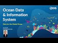 Ocean Data & Information System: Lucy Scott (UNESCO) presents ODIS at Science Summit 2024 | UNGA79