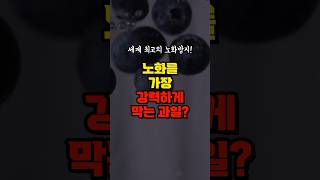 블루베리를 먹으면 생기는 일 3가지 - 노화를 막는 강력한 음식