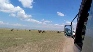 Driving through Masai Mara