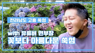 면부장과 함께하는 꽃보다 아름다운 쑥섬 두번째 이야기 !  여행지로 최고 ! 수국이 만발하는 아름다운 섬 전라남도 고흥 쑥섬