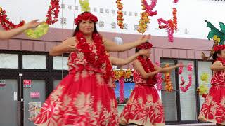 2018 サタフラ  心が踊りだしそうな鮮やかなフラダンス  山口県周防大島道の駅サザンセトとうわ